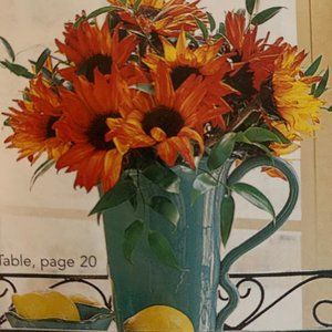 Southern Living At Home - Toscana Ruffled Pitcher